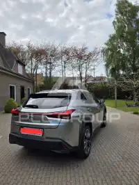 2022 Lexus UX250