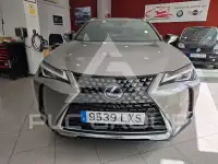 2022 Lexus UX250