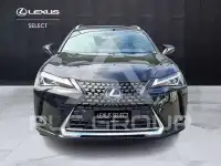 2022 Lexus UX250