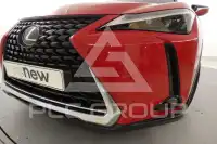 2022 Lexus UX250