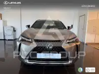 2022 Lexus UX250