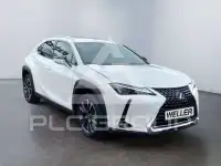 2022 Lexus UX250