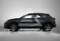 2022 Lexus UX250