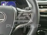 2022 Lexus UX250