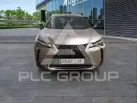 2022 Lexus UX250
