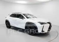 2022 Lexus UX250