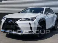 2022 Lexus UX250