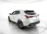 2022 Lexus UX250