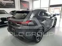 2022 Lexus UX250