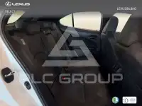 2022 Lexus UX250