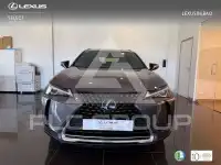 2022 Lexus UX250
