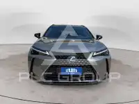 2022 Lexus UX250