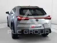 2022 Lexus UX250