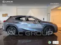 2022 Lexus UX250
