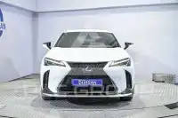 2022 Lexus UX250