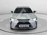2022 Lexus UX250