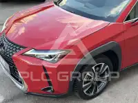2022 Lexus UX250