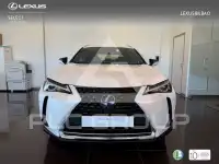 2022 Lexus UX250