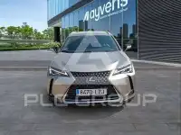 2022 Lexus UX250