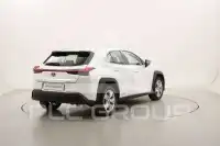 2022 Lexus UX250