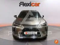 2022 Lexus UX250