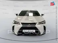 2022 Lexus UX250