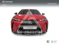2022 Lexus UX250