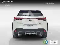 2022 Lexus UX250