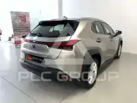 2022 Lexus UX250