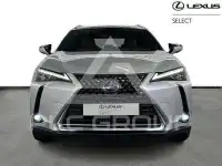 2022 Lexus UX250