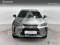 2022 Lexus UX250