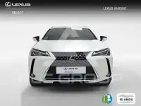 2022 Lexus UX250
