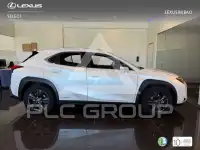 2022 Lexus UX250