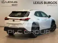 2022 Lexus UX250