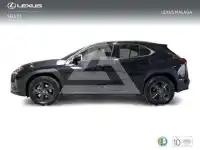 2022 Lexus UX250