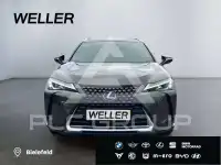 2022 Lexus UX250