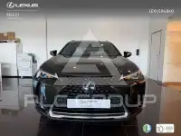 2022 Lexus UX250