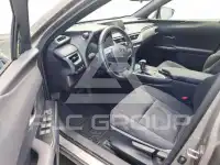 2022 Lexus UX250