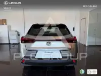 2022 Lexus UX250