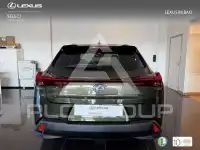 2022 Lexus UX250