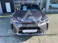 2022 Lexus UX250