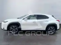 2022 Lexus UX250