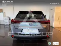 2022 Lexus UX250