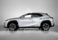 2022 Lexus UX250