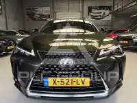 2022 Lexus UX250