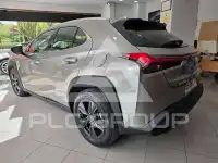 2022 Lexus UX250