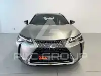 2022 Lexus UX250