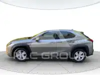 2022 Lexus UX250