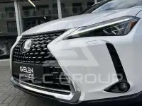 2022 Lexus UX250