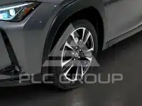 2022 Lexus UX250
